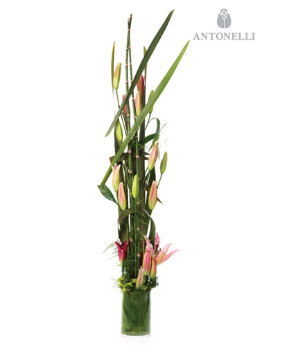 Composicion de Liliums